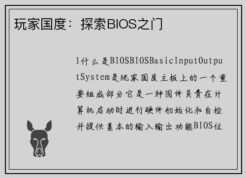 玩家国度：探索BIOS之门
